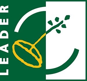 LEADER-logo-mazs_-_kopija_1424356067.jpg